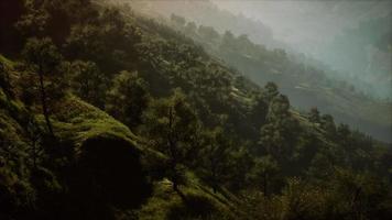 Herbstmorgen mit Nebel in den Bergen video