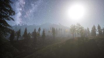estrelas da via láctea com luar acima da floresta de pinheiros