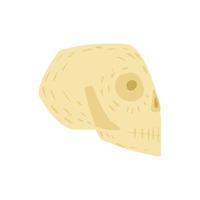 Skull isolated on white background. Simple sketch hand drawn in style doodle. vector