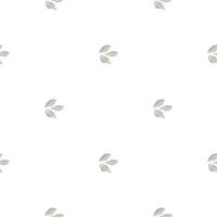 Seamless pattern cardamom on white background. Cute plant sketch ornament. Geometrical texture template for fabric. vector