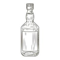 botella de pisco aislado sobre fondo blanco. botella en estilo grabado. vector
