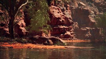 reflection in Colorado River in Grand Canyon video