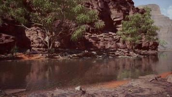 Lake Powell at sunny day in summer video