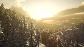 paesaggio invernale con nebbioso tramonto di montagna video