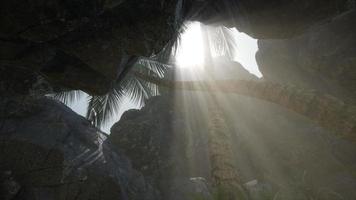 Big Palms in Stone Cave with Rays of Sunlight video