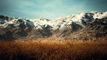 dry grass and snow covered mountains in Alaska video