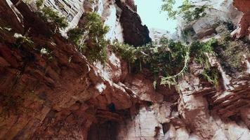 stor älva stenig grotta med gröna växter video