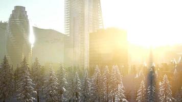 ciudad y bosque en la nieve video