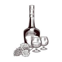 Hand drawn cognac bottle and bunch of grapes. Bottle of brandy and grapes sketch isolated on white background. vector