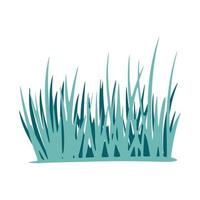 Grass isolated on white background. Hand drawn graphic element. vector