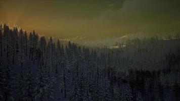 nebbia e neve sulla montagna video