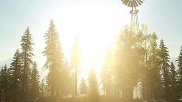 Typische alte Windmühlenturbine im Wald bei Sonnenuntergang video