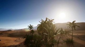 erg chebbi duinen in de Sahara woestijn video