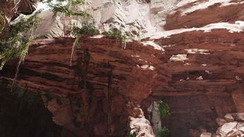 dentro de uma caverna de calcário com plantas e brilho do sol video