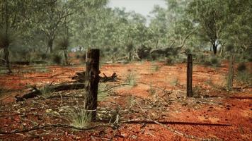Dingoe fence in the Australian Outback video