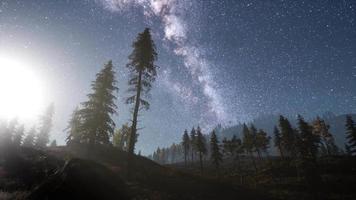 Milky Way stars above pine trees forest video