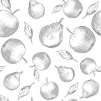 Apple and pear seamless pattern on white background. vector