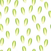 Seamless pattern Chicory cabbage on white background. Minimalism ornament with lettuce. vector