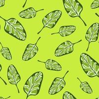 Seamless pattern Spinach salad on bright green background. Modern ornament with lettuce. vector