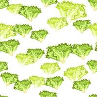 Seamless pattern Batavia salad on white background. Modern ornament with lettuce. vector