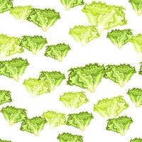 Seamless pattern Batavia salad on white background. Modern ornament with lettuce. vector