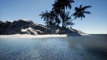 ilha tropical das maldivas video
