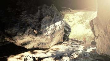 a luz do sol filtra em uma caverna de pedra molhada