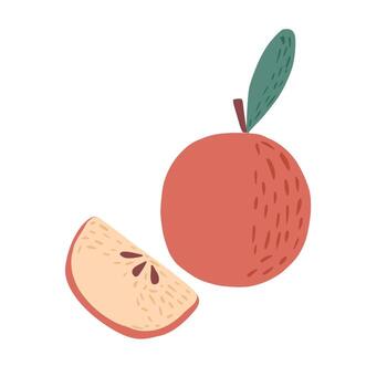 Whole red apple with a slice isolated on white background. Apple hand drawn in doodle style. vector