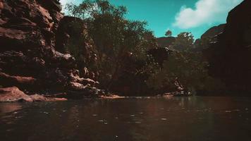 lac powell à une journée ensoleillée en été video