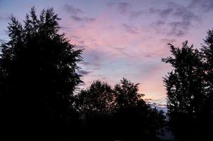 Evening sky pink sunset. photo