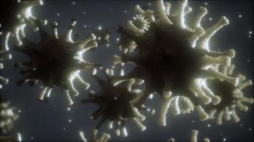 bacterias virus o gérmenes microorganismos células bajo microscopio con profundidad video