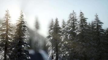 beautiful winter landscape in the mountains video