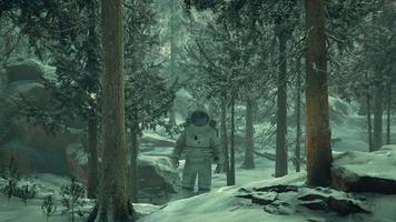 Astronaut exploring forest in snow video