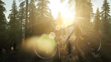 bicicleta na floresta de montanha video