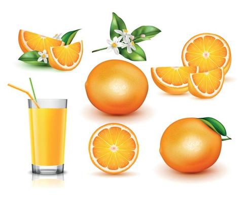 Orange Realistic Set