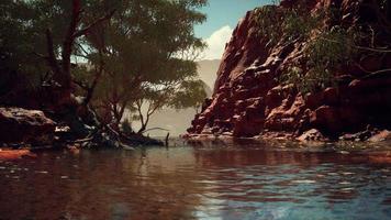 reflection in Colorado River in Grand Canyon video