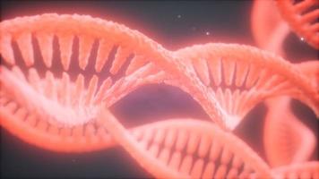 double helical structure of dna strand close-up animation video
