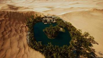 top down aerial view of oasis in desert video