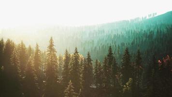 belas paisagens naturais nas montanhas dos cárpatos video