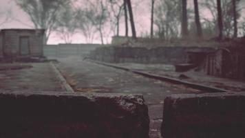 old abandoned garages in the forest video