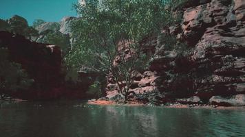 Shining rays of the sun reflected in the cold water of the Colorado River video