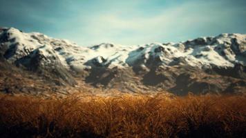 dry grass and snow covered mountains in Alaska video