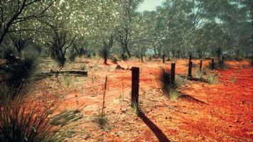 Dingoe fence in the Australian Outback video