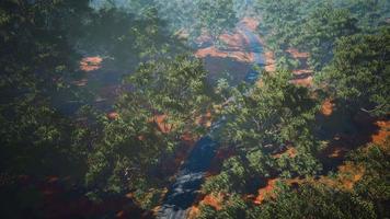 vista aérea da paisagem com árvores tropicais verdes e estradas locais video