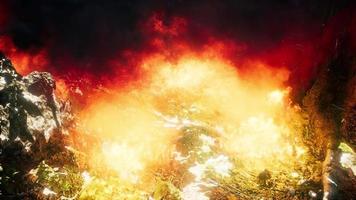 Wind blowing on a flaming trees during a forest fire video