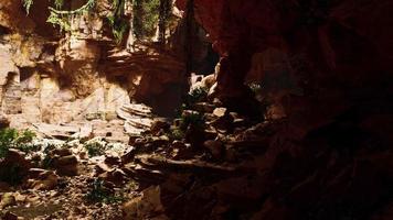 grotte dans un volcan éteint couverte d'herbe et de plantes video