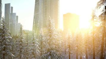 Ciudad y bosque en la nieve al amanecer. video