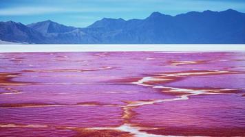 Beautiful view of pink lake on summer day video