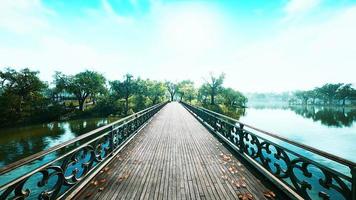 8k alte Brücke im Park im Sommer video