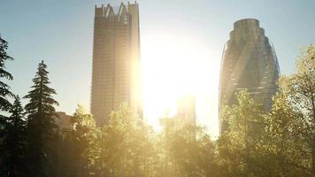 skyskrapor och skogsparken vid soluppgången video